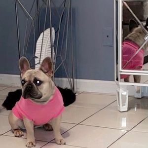 Meet your Posher, Ejhara